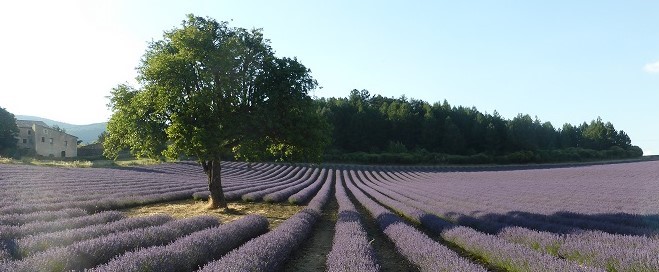 duftreise